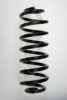 SPIDAN 55102 Coil Spring